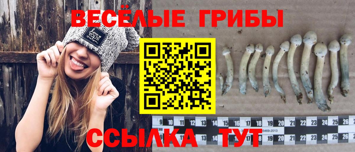 Петропавловск-Камчатский  Галлюциногенные грибы Magic Shrooms  Вход с VPN 